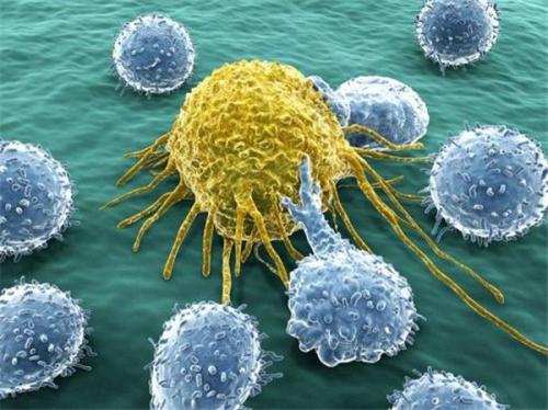 科学家发现癌症的新遗传驱动力