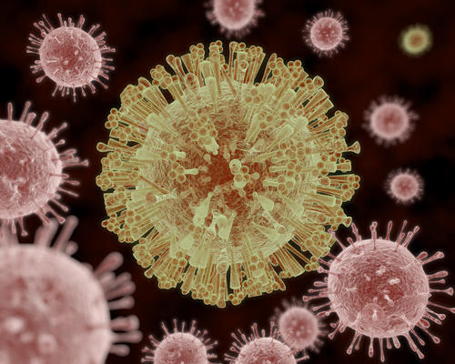 研究人员发现病毒选择免疫蛋白来避免抗病毒防御