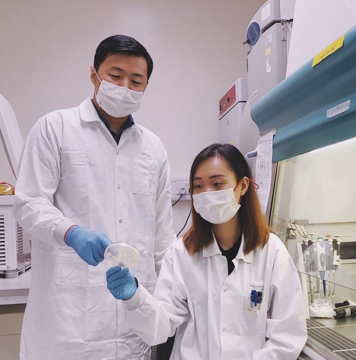 SMART研究人员使用溶素开发针对细菌的定制靶向
