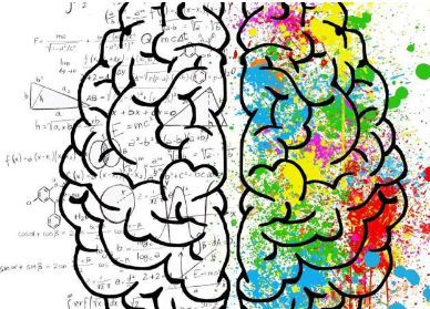 神经科学家说 人类的智能变得越来越不神秘了