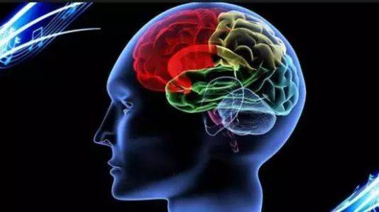 大脑某些区域的活动过多的话不利于记忆和注意力