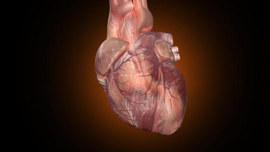 轻微的心脏缺陷也与成年后的长期问题相关