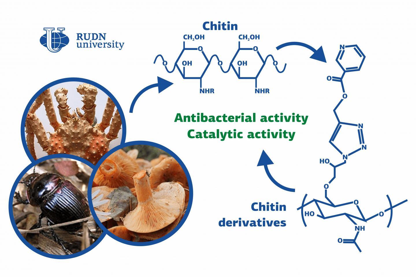 RUDN大学的化学家合成了几丁质类抗生素