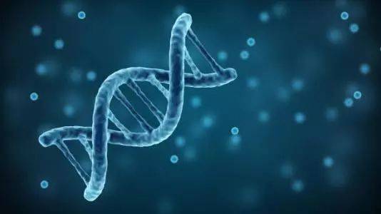 DNA可能不是生活的指导书-只是混杂的成分清单