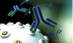 研究人员开发有效生产单克隆抗体的新技术