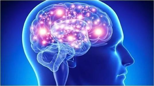研究人员发现一种替代大脑中影响活动过度的缺失蛋白的方法