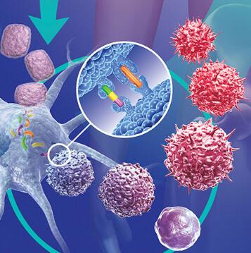 科学家使用癌症免疫疗法工具确定新型疫苗的靶标