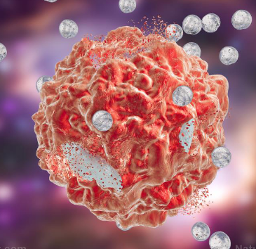 动物研究表明注射死细胞可能有助于预防癌症