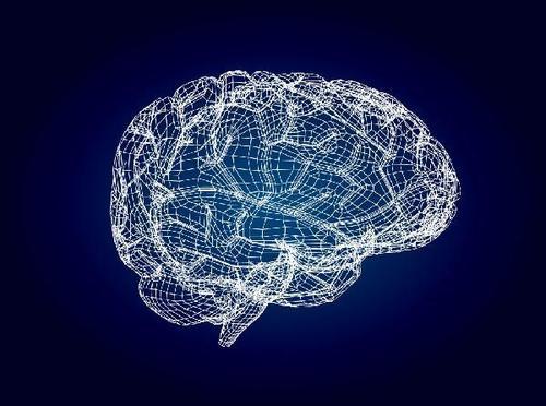 新研究揭示了大脑如何组织有关气味的信息