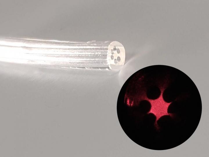 巴西研究人员开发了一种由海藻衍生的凝胶制成的光纤