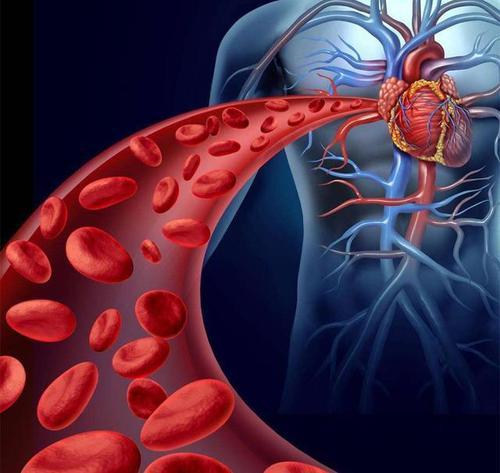 降低胆固醇的药物改善了心脏动脉的功能
