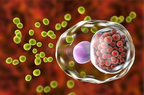 研究人员发现衣原体如何从宿主体内吸收新的DNA