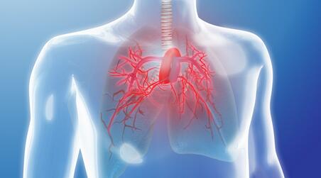 LSU健康研究表明尼古丁暴露会导致肺动脉高压