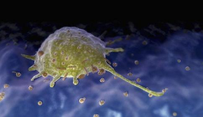 研究更好地揭示了巨噬细胞在癌症生长中的功能和行为