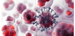 研究确定了开发新的癌症免疫疗法的潜在药物靶标