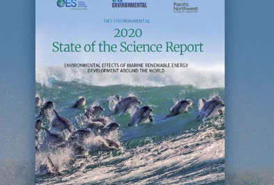 报告显示 海洋能源设备可能对海洋生物造成的影响最小