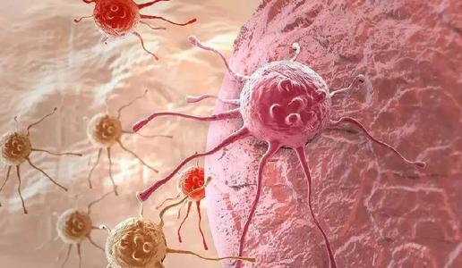 乳腺癌药物可加速癌细胞生长