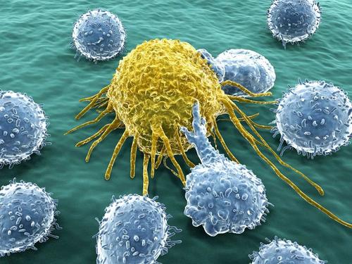 纳米粒子的最新进展及其作为抗癌药物传递载体的作用