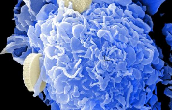 代谢酶作为癌症免疫疗法的潜在新靶标