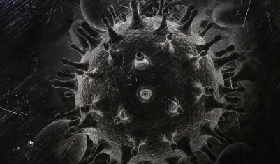 脑细胞可以藏匿艾滋病毒并将其传播到身体