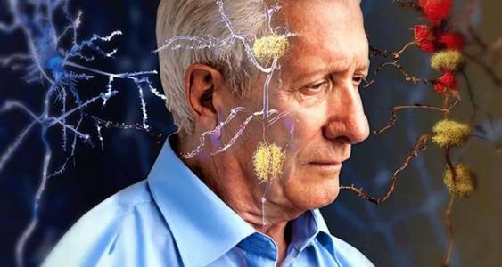 去甲肾上腺素信号通路异常激活致病性阿尔茨海默氏病级联反应
