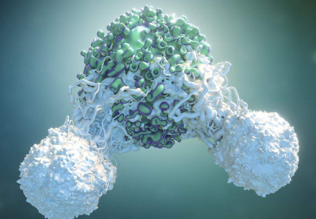 多模式基因组分析预测肺癌患者对免疫疗法的反应