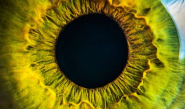 科学家通过新的基因治疗方法从眼部疾病中拯救微型视网膜
