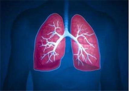 研究人员找到了一种方法来阻止因身体免疫反应导致的肺损伤