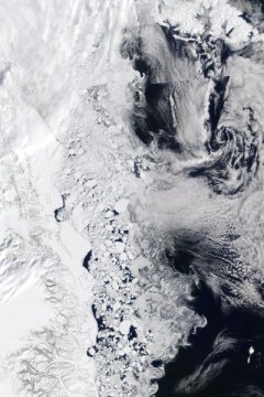藻类在格陵兰海冰下茁壮成长