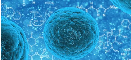 浸润肿瘤的免疫细胞可能发挥比以前认为更大的癌症作用