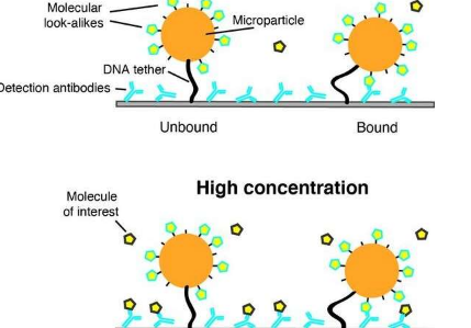 未来使用分子相似物进行连续监测的生物传感器