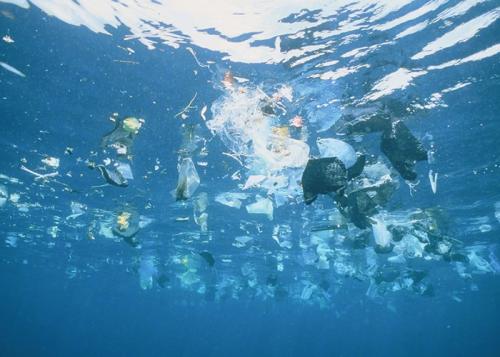 PEPP和PS地中海沿岸水域中最丰富的微塑料类型