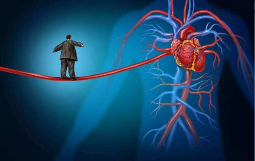 关于衰老对心血管疾病影响的新见解