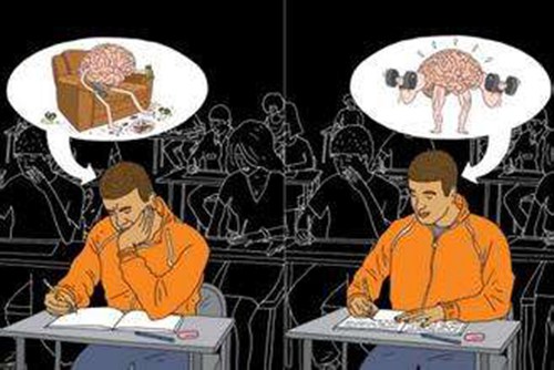 研究人员伟解决大脑疲劳开启了新研究