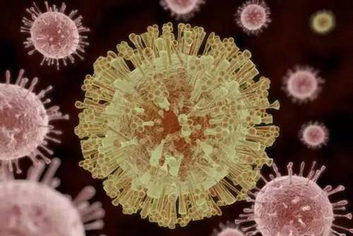 母亲的登革热免疫力使婴儿对寨卡病毒的反应恶化