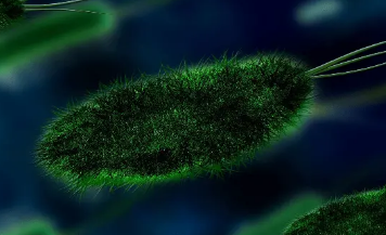 肠道微生物组和帕金森氏病之间的生物学联系