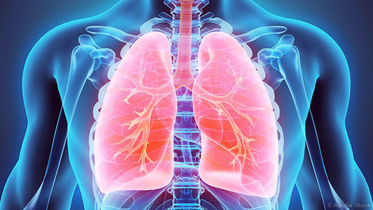 达特茅斯研究揭示了真菌生物膜结构如何影响肺部疾病