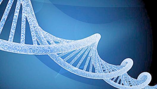 与教育程度有关的遗传变异对生活方式有积极影响
