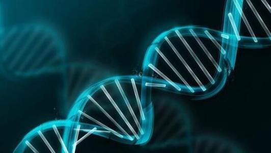 DNA修复的两管齐下的攻击可能会杀死耐药性癌症