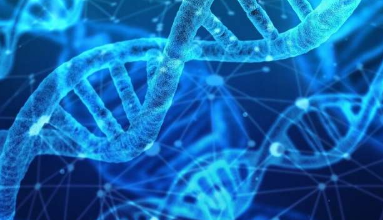 人类基因组包含超过450万个DNA序列 称为转座因子