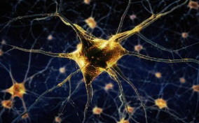 功能和病理改变的神经细胞的超分辨率图像
