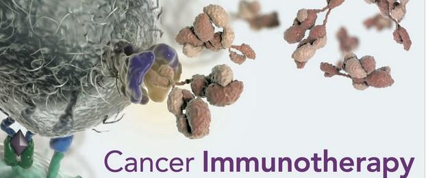 新型抗体组合可显着改善癌症免疫治疗