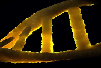 研究人员发现新型基因变异体链接至ALS