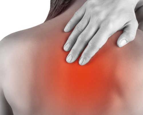 您的背痛可能是由于进化和脊柱形状