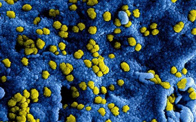 细菌如何与抗生素抗争并在化学战中胜出
