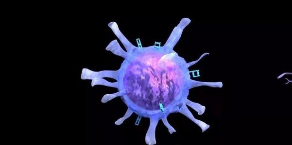 科学家们开发了一种刺激大脑免疫细胞的方法