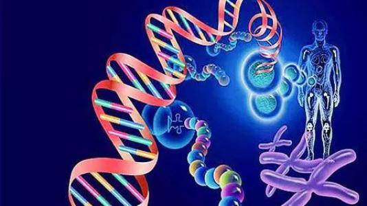 研究人员在癌症基因组的暗物质中发现了一个新的驱动癌症的突变