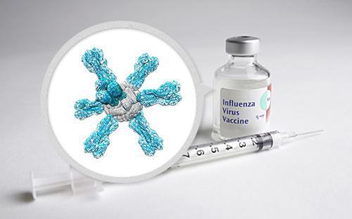 预防流感的纳米颗粒疫苗