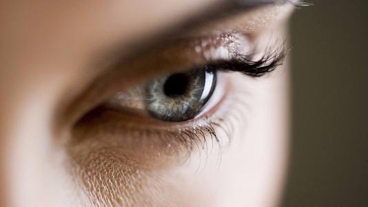 CNIC科学家确定了可能在眼部疾病中发挥重要作用的免疫调节回路