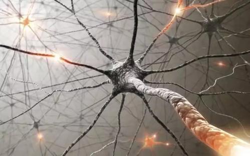 研究表明刺激神经元可以预防脑损伤